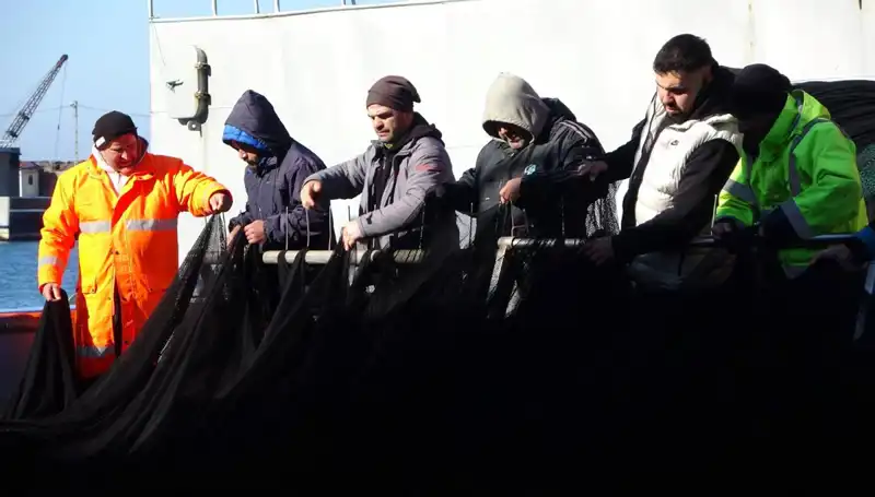 Hamsi Avında Şok: Tekneler Erken Yüzdü, Hamsi Bitti!