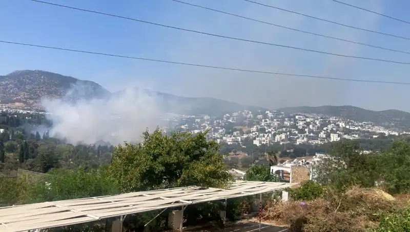 Muğla'daki Orman Yangınları Kontrol Altına Alındı: Son Durum Ne?