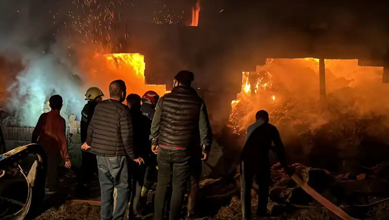 Bolu'da Yangın Paniği: Ahırda Korkunç Gelişmeler