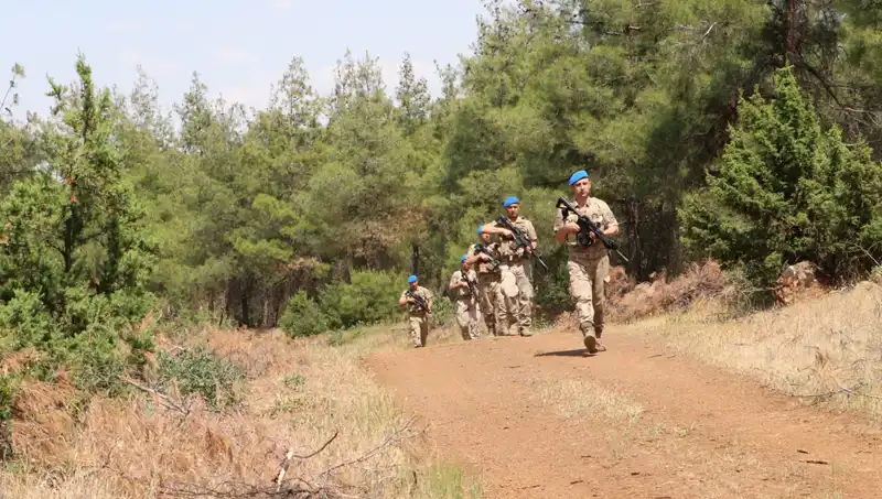 Kilis’te Orman Yangınlarına Karşı Etkili Denetim Stratejileri