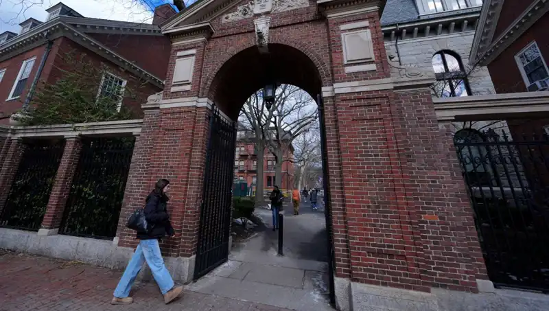 Harvard Profesörleri, Trump Yönetimine Karşı Hukuki Savaş Açtı