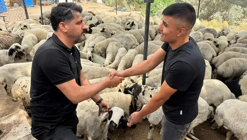Kurbanlık Alırken Dikkat: Tuz ve Sumakla Şişkin Gösterilen Hayvanlar